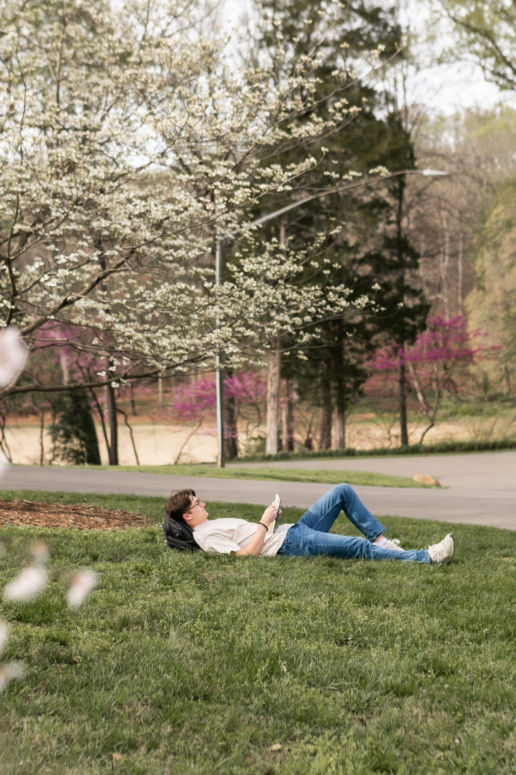 undergraduate reading on grassy campus slope scaled