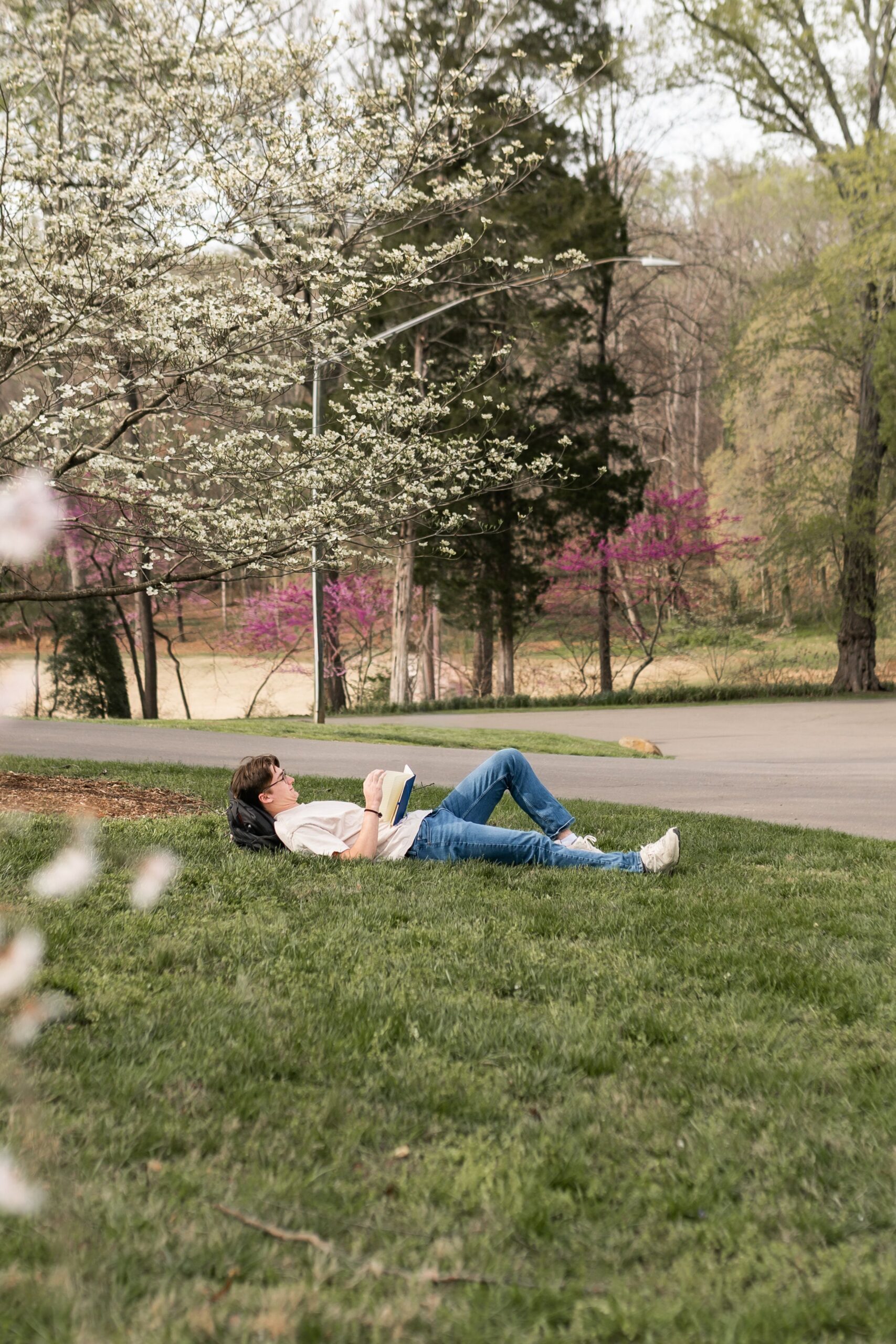 young man reading under flowering tree scaled