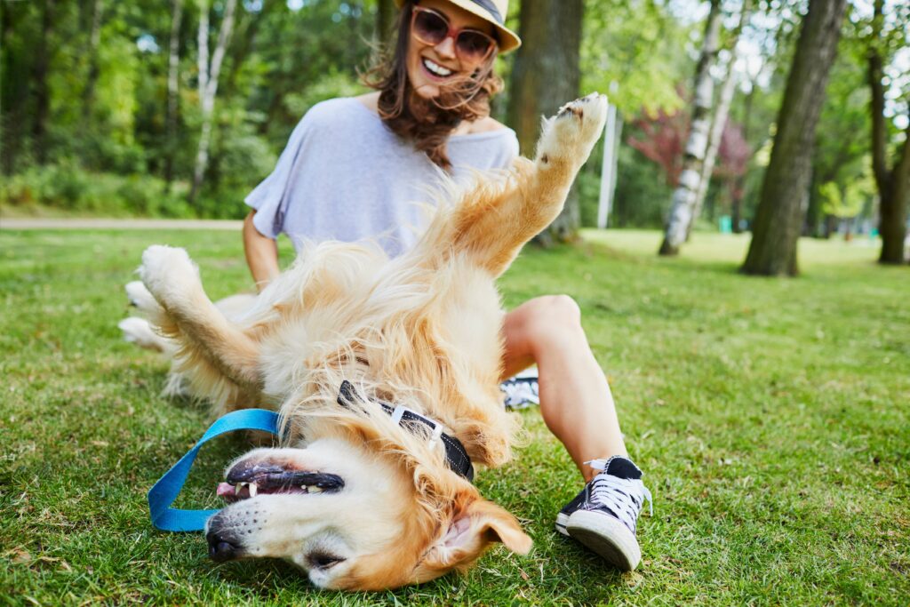 pet friendly winston salem